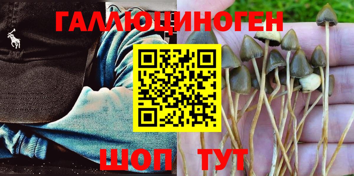 Псилоцибиновые грибы прущие грибы Серпухов
