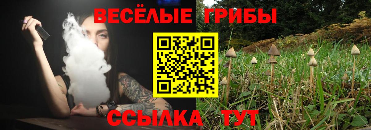 Серпухов  Псилоцибиновые грибы Psilocybe  Галлюциногенные грибы GOLDEN TEACHER  Вход с VPN 